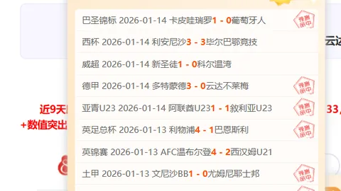 “李怡婧、罗徐敏马来西亚羽球赛突破重围晋级八强”