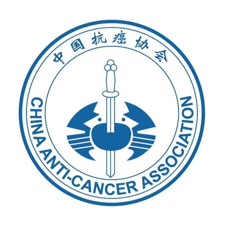 球速体育